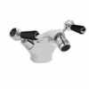 Bayswater Monobloc Lever Dome Bidet Taps - Black/Chrome